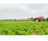 ट्रेल्ड फील्ड स्प्रेयर Kubota XTS3-2.600l iXflow-E