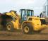 व्हील लोडर New Holland W170B