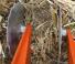 कल्टीवेटर Kubota CU3400CDF AF
