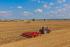 कल्टीवेटर Horsch Tiger 6 LT