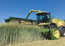 2WD फोरेज हार्वेस्टर Krone BiG X 630