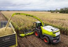 4WD फोरेज हार्वेस्टर Claas Jaguar 1200