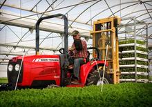 4WD ट्रैक्टर Massey Ferguson MF 1529 MA