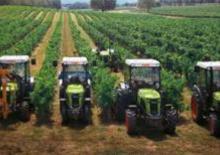 4WD ट्रैक्टर Claas Nectis 267 VL