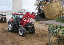 4WD ट्रैक्टर Case IH Puma 165 Basis EHR