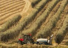 4WD ट्रैक्टर Case IH Quantum 90 CL Rops