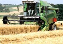 कंबाइन हार्वेस्टर DEUTZ-FAHR 5445 H
