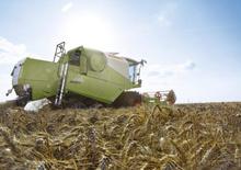 कंबाइन हार्वेस्टर Claas Avero 240