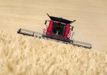 कंबाइन हार्वेस्टर Case IH Axial Flow 8250
