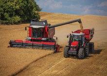 कंबाइन हार्वेस्टर Massey Ferguson Beta 7370 PL