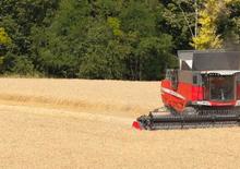 कंबाइन हार्वेस्टर Massey Ferguson Delta 9280