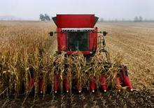 कंबाइन हार्वेस्टर Massey Ferguson Fortia 9895