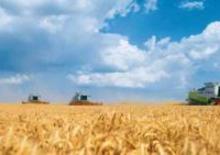 कंबाइन हार्वेस्टर Claas Lexion 600