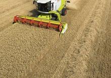 कंबाइन हार्वेस्टर Claas Lexion 660