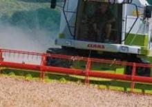 कंबाइन हार्वेस्टर Claas Medion 310