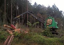 हार्वेस्टर Neuson Forest 183HVT