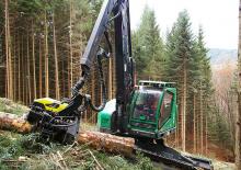 हार्वेस्टर Neuson Forest 243HVT