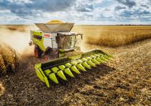 कंबाइन हार्वेस्टर मेज़ पिकर Claas RoVio 4.1275 C