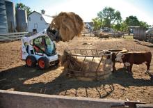 स्किड स्टीयर लोडर Bobcat S590