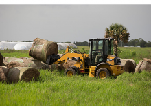 व्हील लोडर Caterpillar 903D