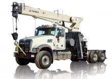 ट्रक क्रेन TEREX CRANES TM 3851