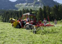रोटरी टेडर Pöttinger AlpinHit 4.4 H 