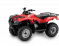 TRX250TM 